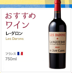 おすすめワイン レ・ダロン Les Darons フランス 750ml